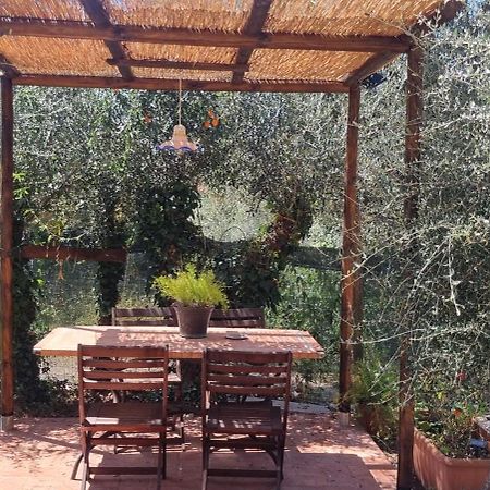 La Merla Casa Vacanze Camaiore Exterior foto